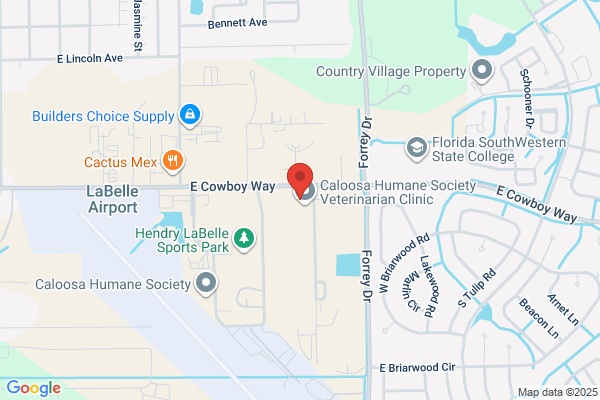Kindall Ward, APRN- C