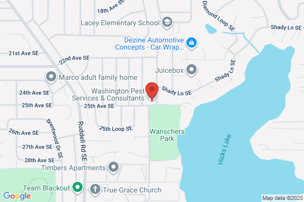 Washington Pest Services