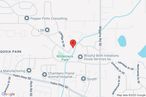 Netsolutions Northwest