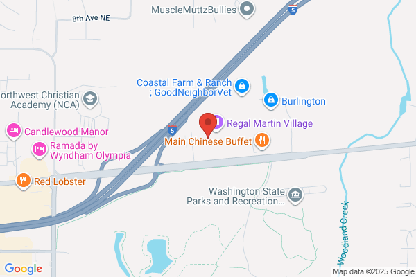 The Rock Wood Fired Pizza & Spirits