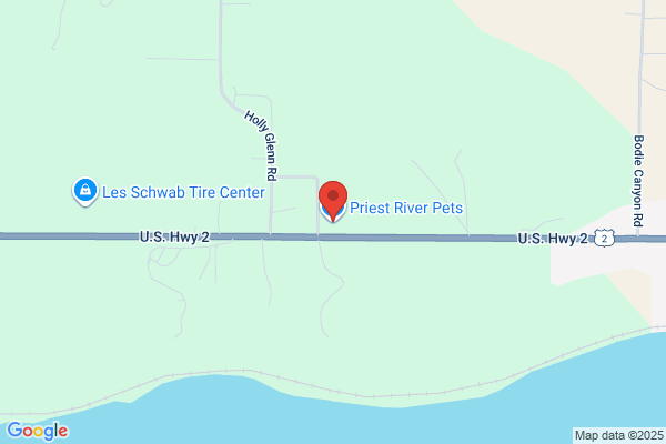 4 Paws Pet Supplies