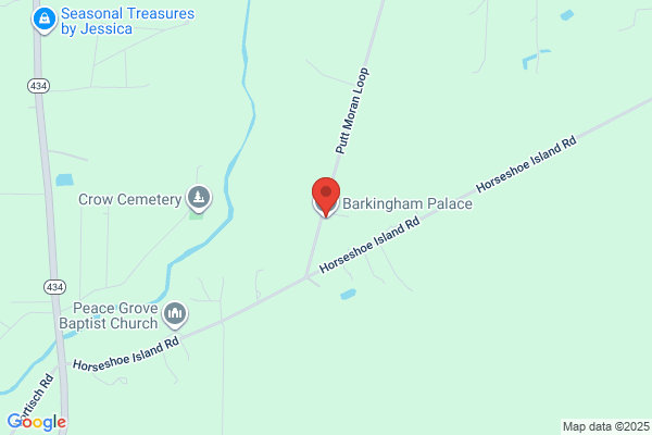 Barkingham Palace