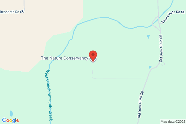 Nature Conservancy the