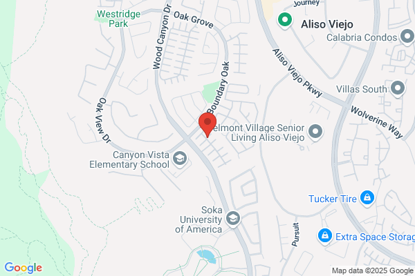Aliso Viejo Properties