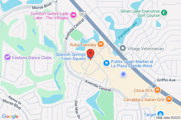 Florida Palliative Home Care of Lake Marion &, Sumter Counties Llc