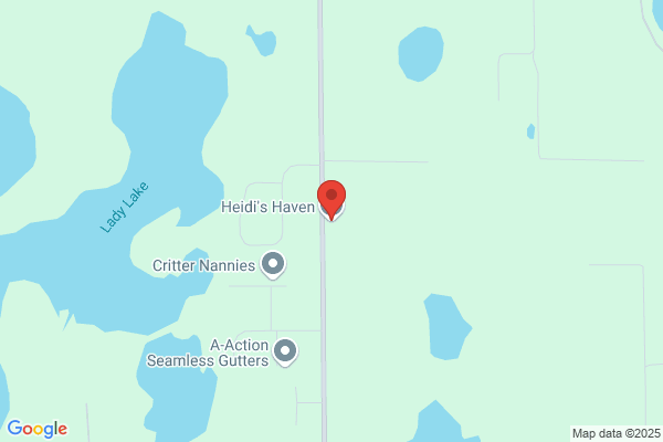 Heidi's Haven