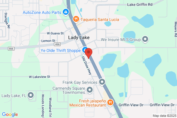 Lady lake Professional Grooming