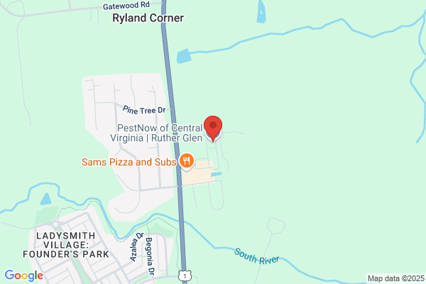 PestNow of Central Virginia | Ruther Glen