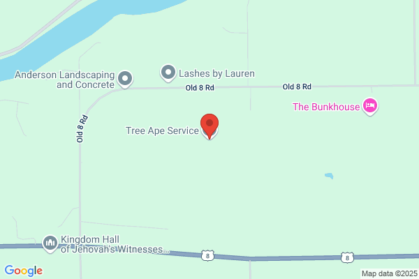 Tree Ape Service