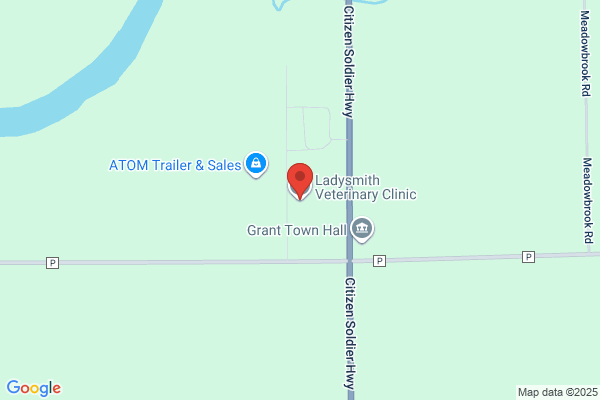 Ladysmith Veterinary Clinic