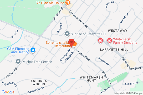 Lafayette Hill Painters