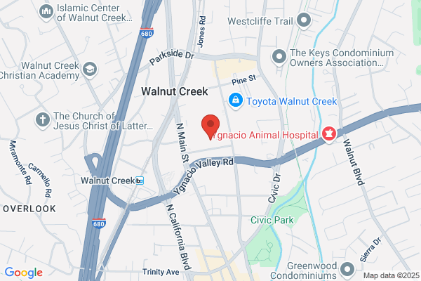 Oakmont Auto Care