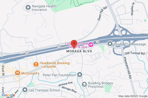 Cedos Mercedes Service