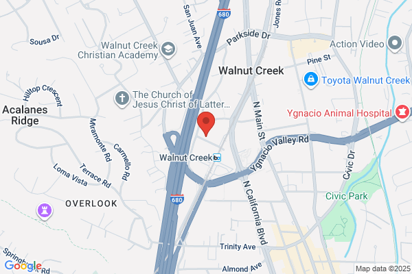 Pool Services Walnut Creek