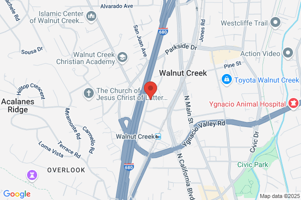 Orient Asset Management Llc