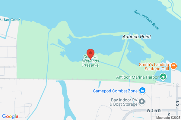Delta Wetlands