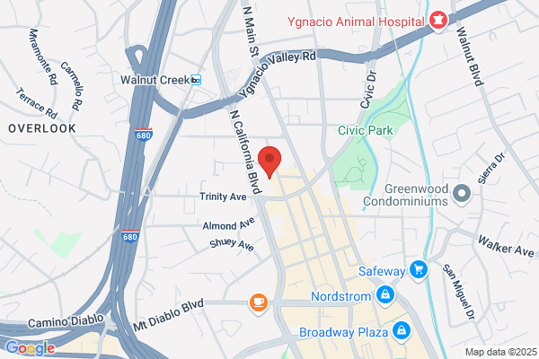 Afi Moradian - Realtor