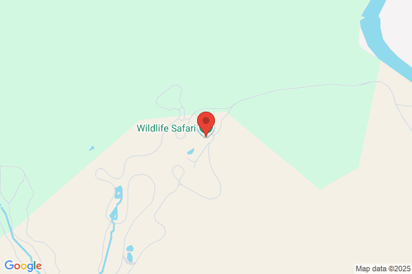 Wildlife Safari