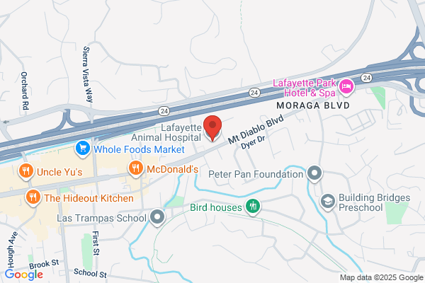 Lamorinda Animal Hospital