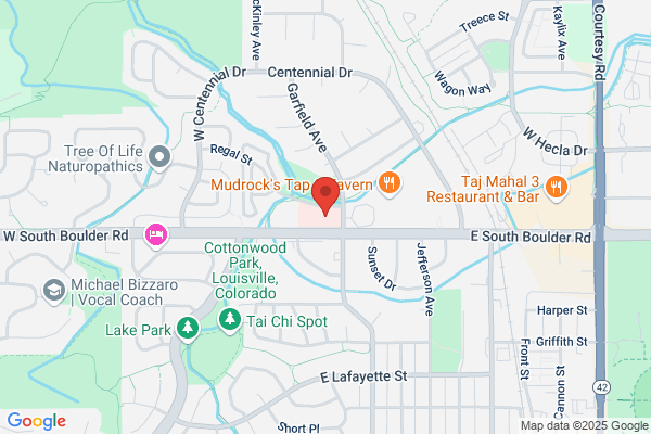 Annissa N. Michael, DDS - Inactive