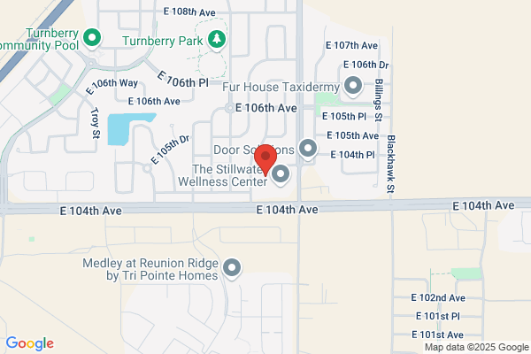 Johnson Elaine T Attorney