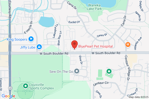 BluePearl Pet Hospital