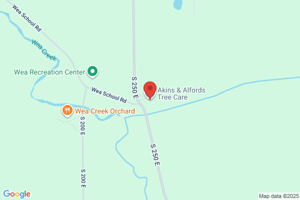 Alford's Tree Care