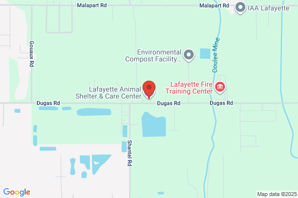 Animal Rights Resource Center