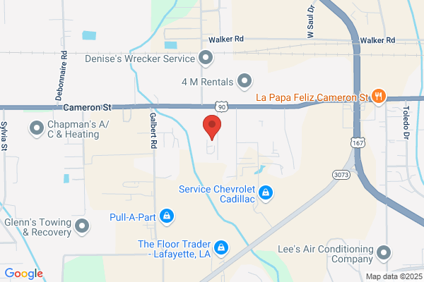 Newpark Environmental Services Inc
