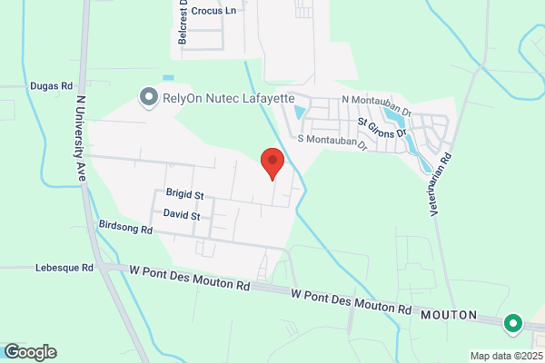 Dumpster Rentals Lafayette LA