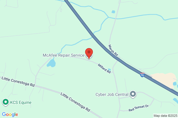 McAfee Auto Service