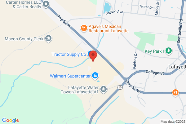 Advance Auto Parts