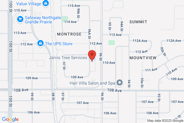 Javi's Tree Trimming and Lot Clearing Service
