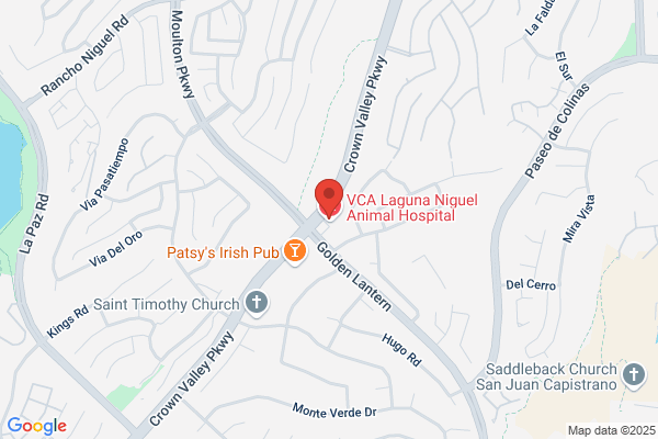 Laguna Niguel Animal Hospital