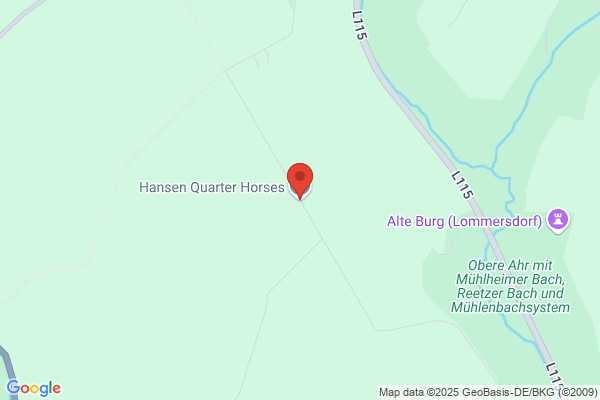 Hanson Cathy Quarter Horses