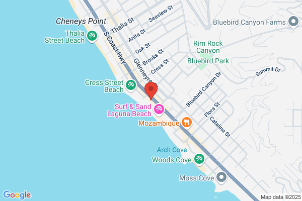 K-9 City