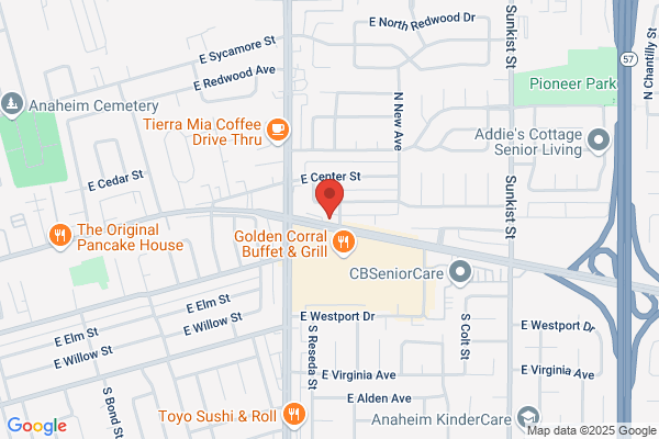 FAVELA DENTAL CORP