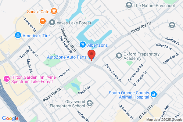 AutoZone Auto Parts