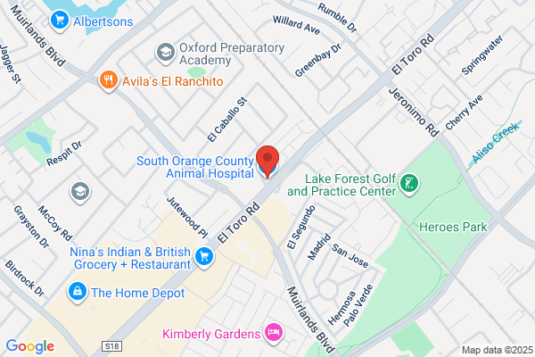 VCA Saddleback Animal Hospital - Closed