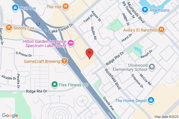 Hollywood Video