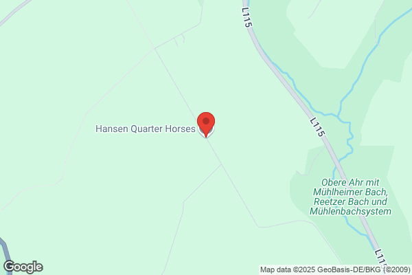 Hanson Cathy Quarter Horses