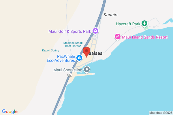 Maui Ocean Activities