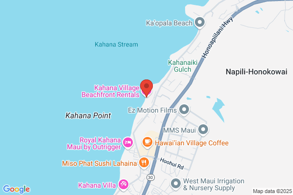 Kaanapali Beach Rentals