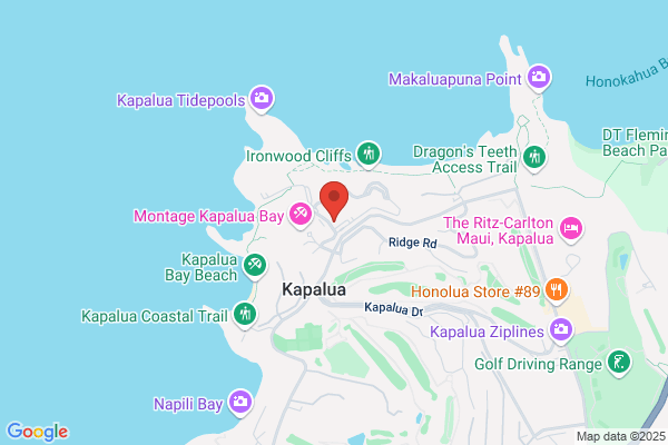 Hawaii Life Real Estate Brokers