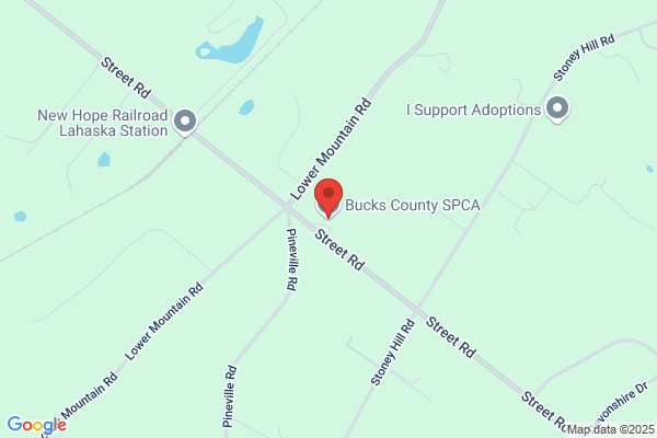 Bucks County Society Prevention of Cruelty To Animals