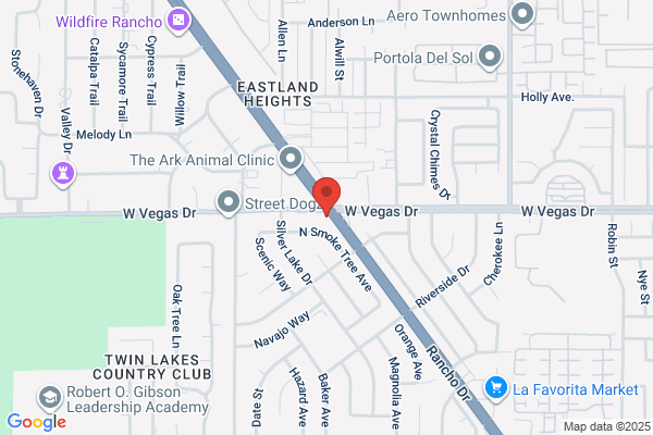 Nevada Title and Payday Loans