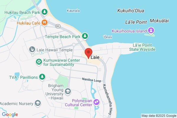 Shlachter Marc B MD Laie-Country Doctor