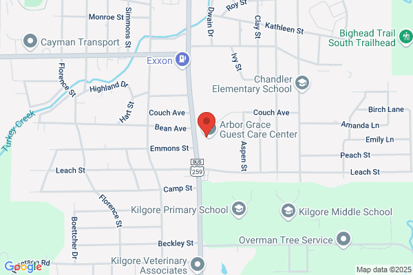 Kilgore Physical Therapy
