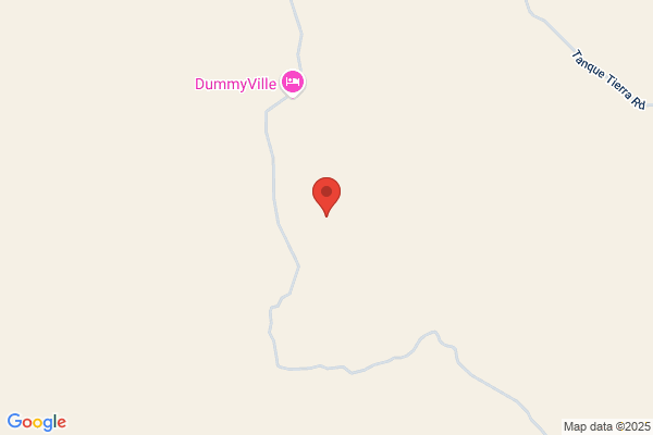 Big Bend Shuttle Service