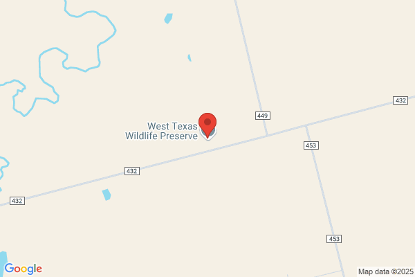 West Texas Wildlife Company